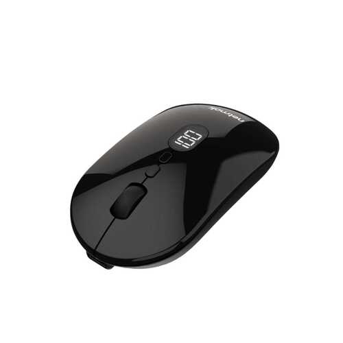 MOUSE